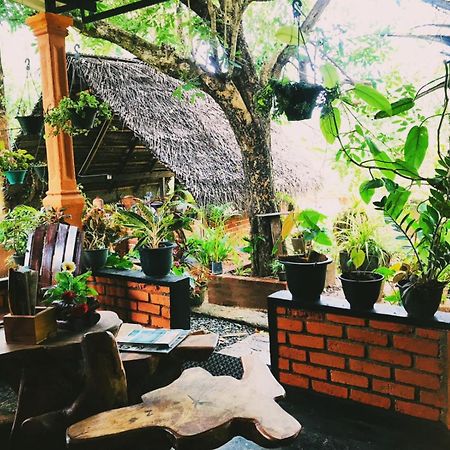 Oleena Home Stay Habarana Kültér fotó