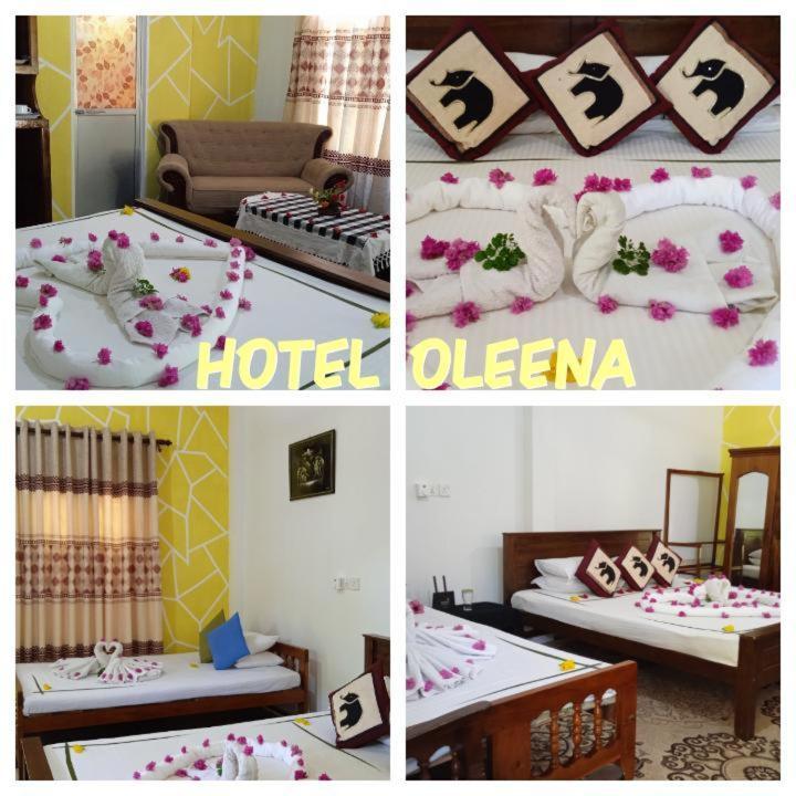 Oleena Home Stay Habarana Kültér fotó