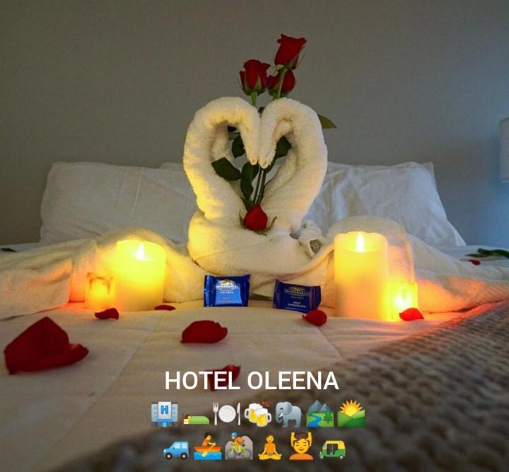 Oleena Home Stay Habarana Kültér fotó