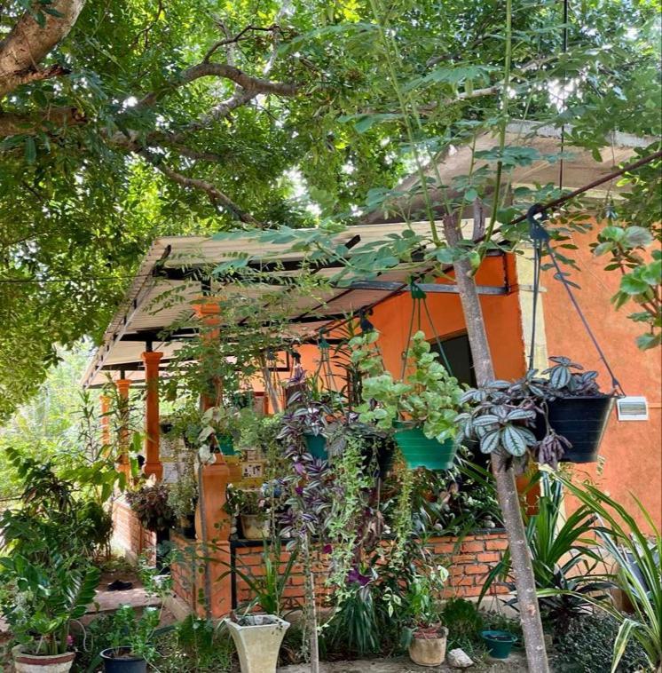 Oleena Home Stay Habarana Kültér fotó