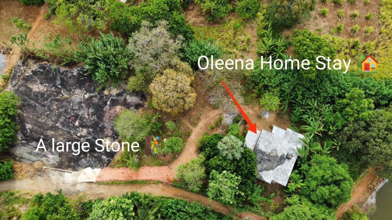 Oleena Home Stay Habarana Kültér fotó