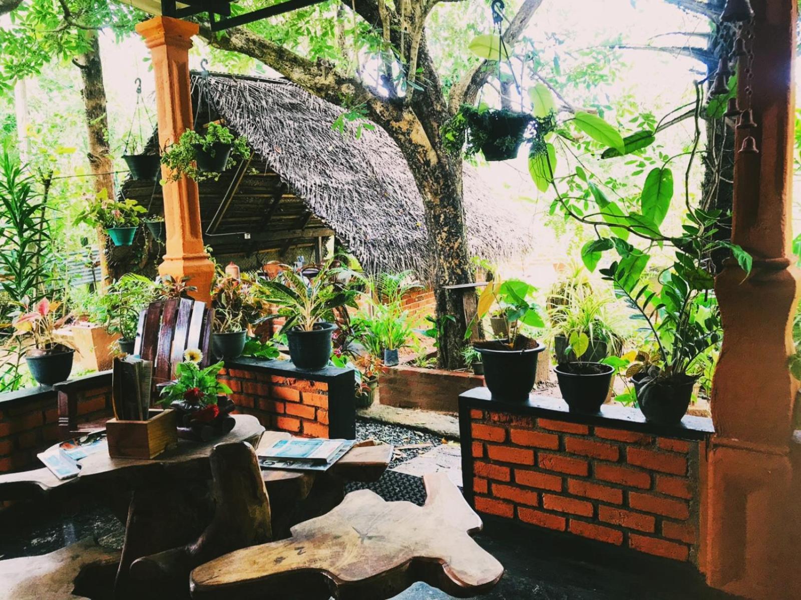 Oleena Home Stay Habarana Kültér fotó