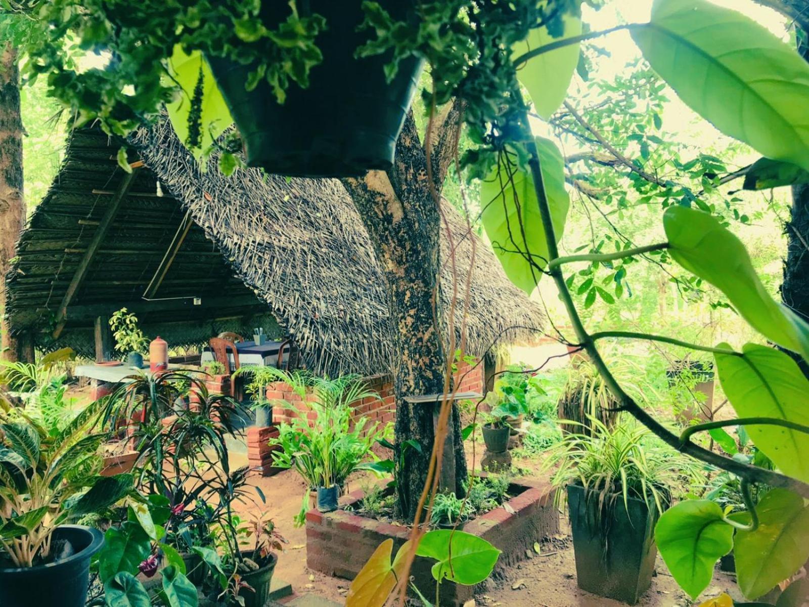 Oleena Home Stay Habarana Kültér fotó